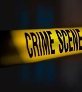 crime-1