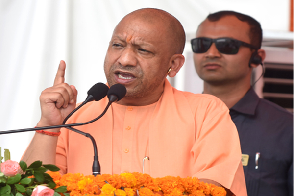 yogi-4