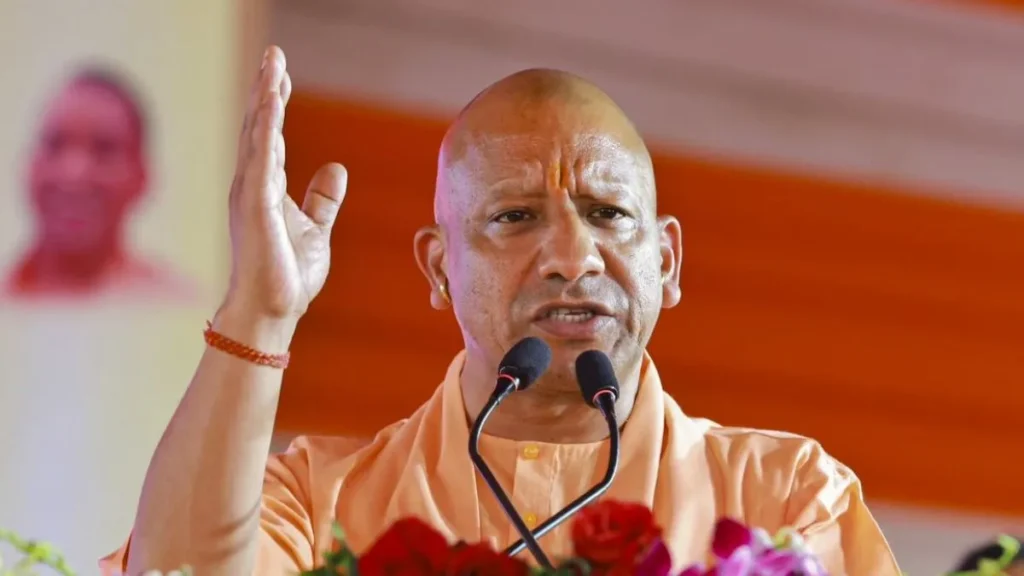 yogi-1754290502