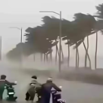 Weather