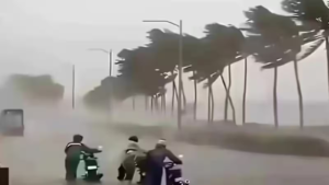 Weather