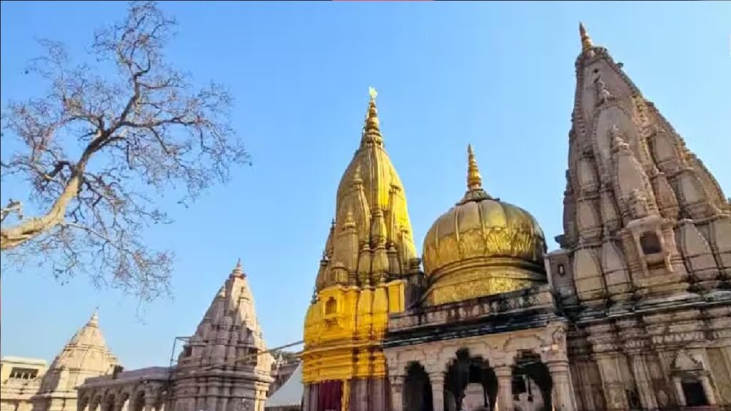 kashi
