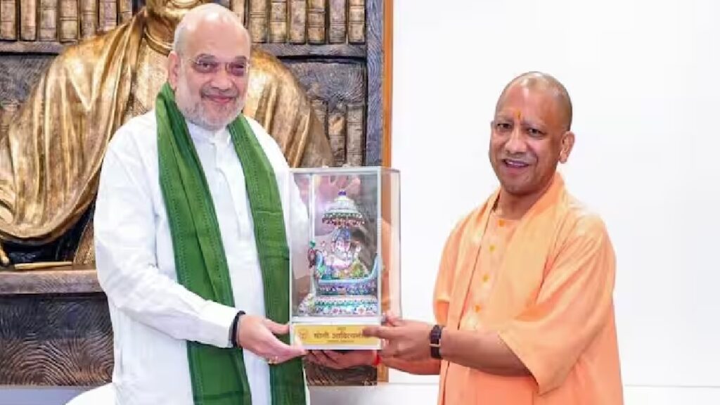 yogi