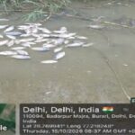 DELHI