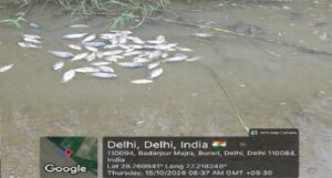 DELHI