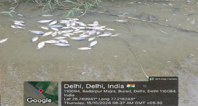DELHI